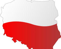 Konsumenci wybierają polskie produkty – szansa dla krajowych firm